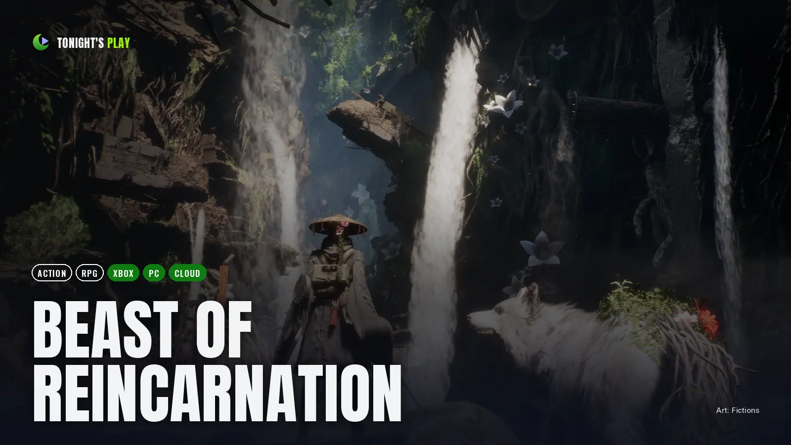 Beast of Reincarnation cover art