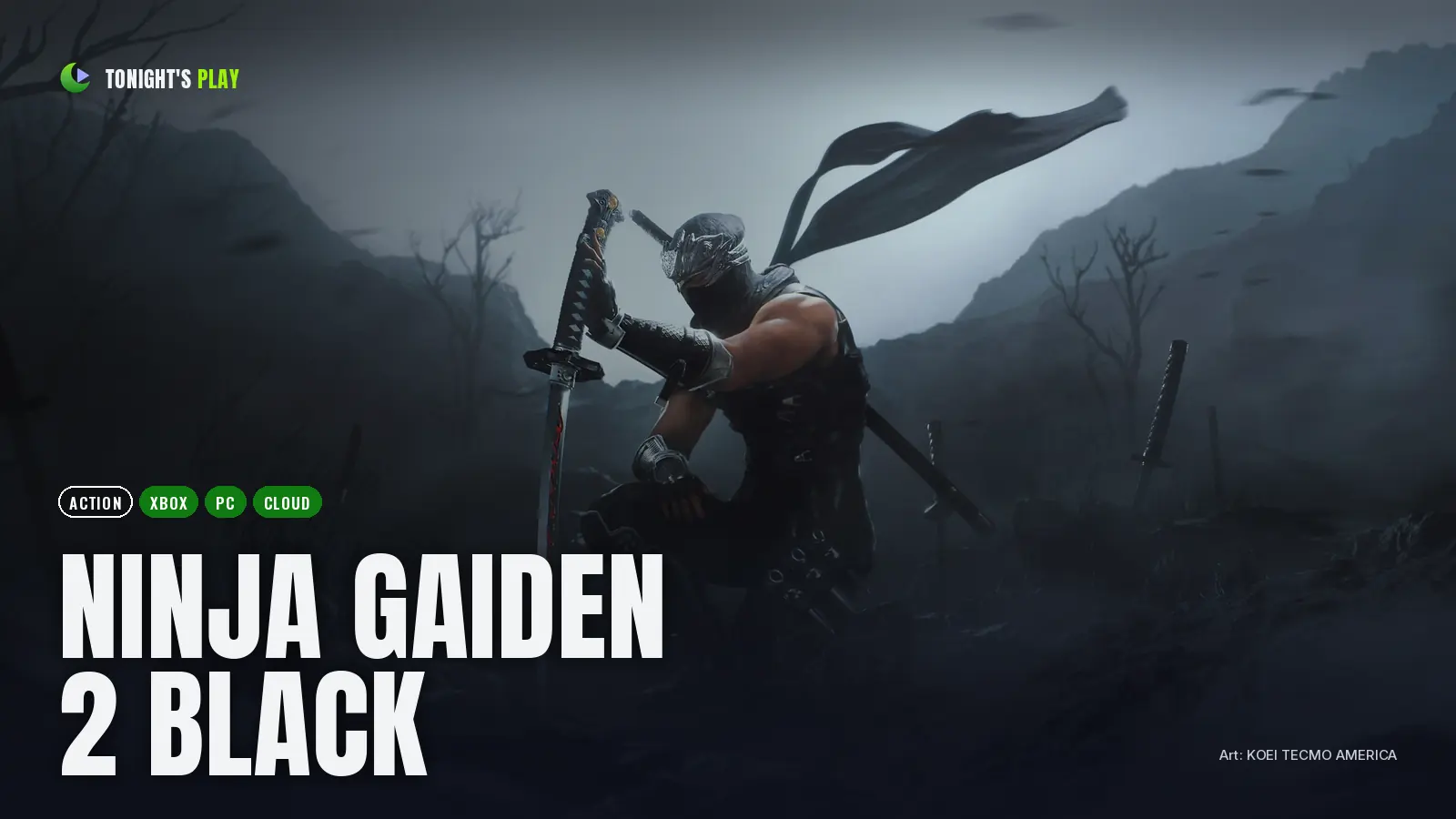 NINJA GAIDEN 2 Black cover art