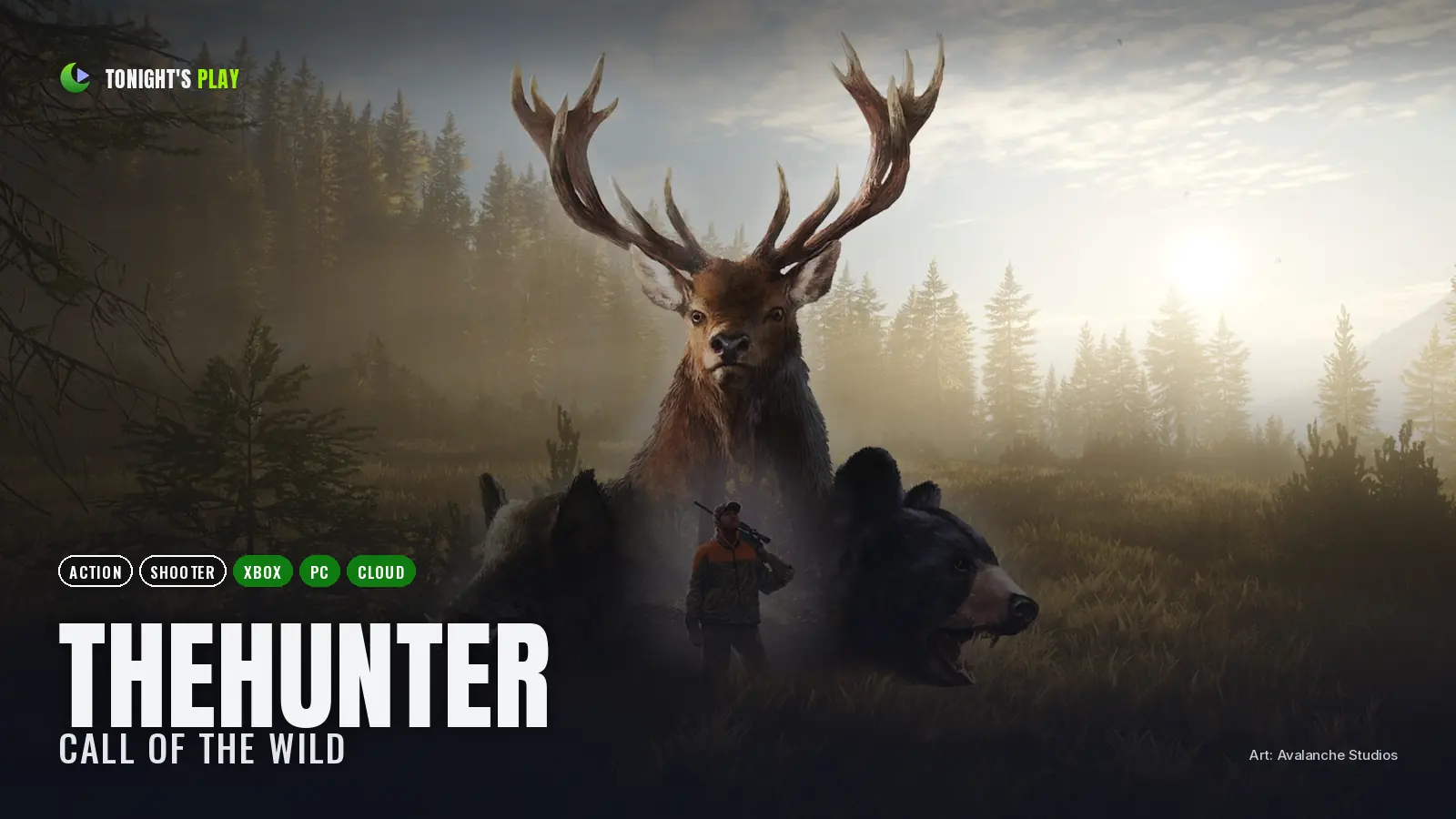 theHunter: Call of the Wild cover art