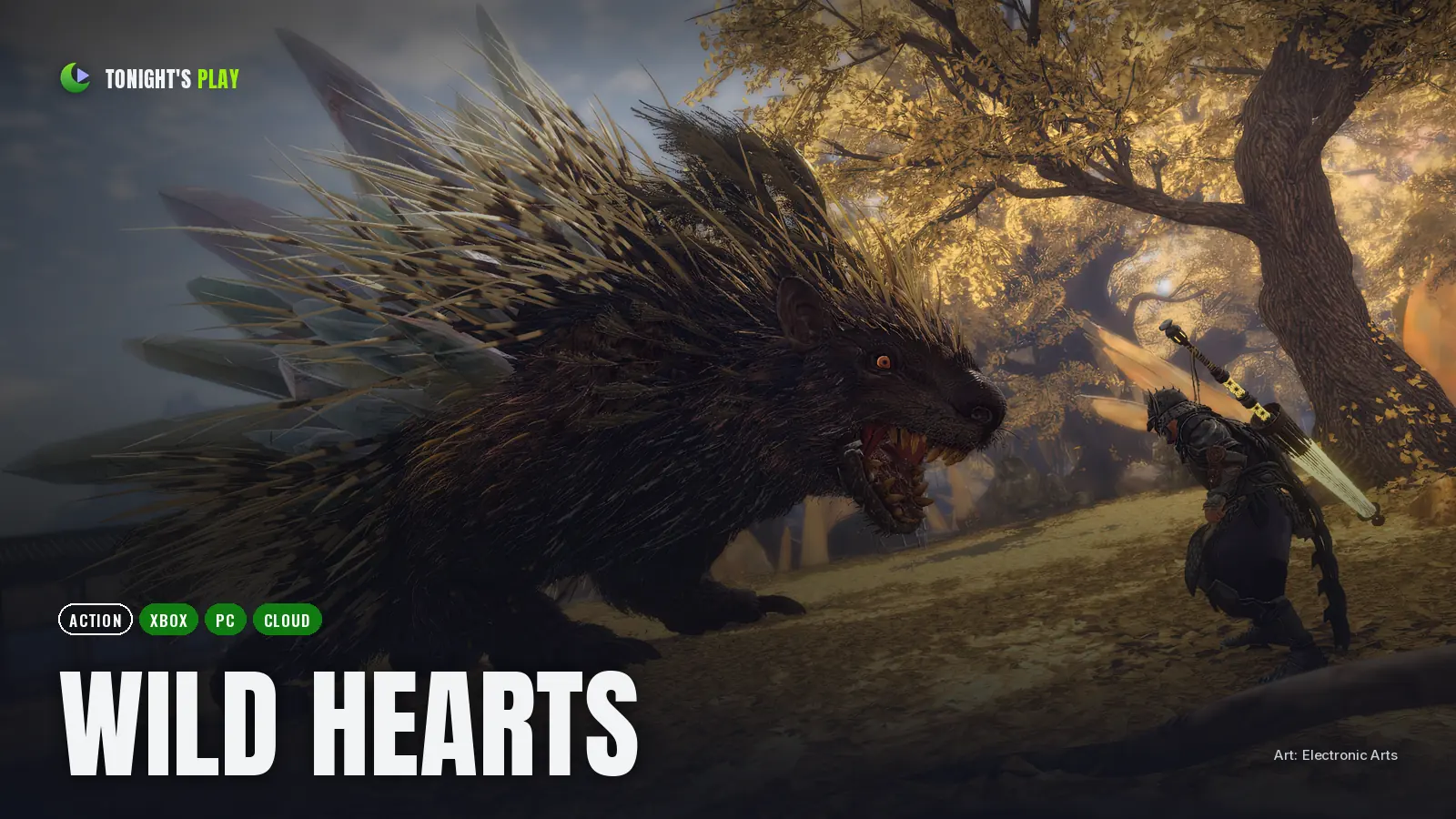 WILD HEARTS cover art